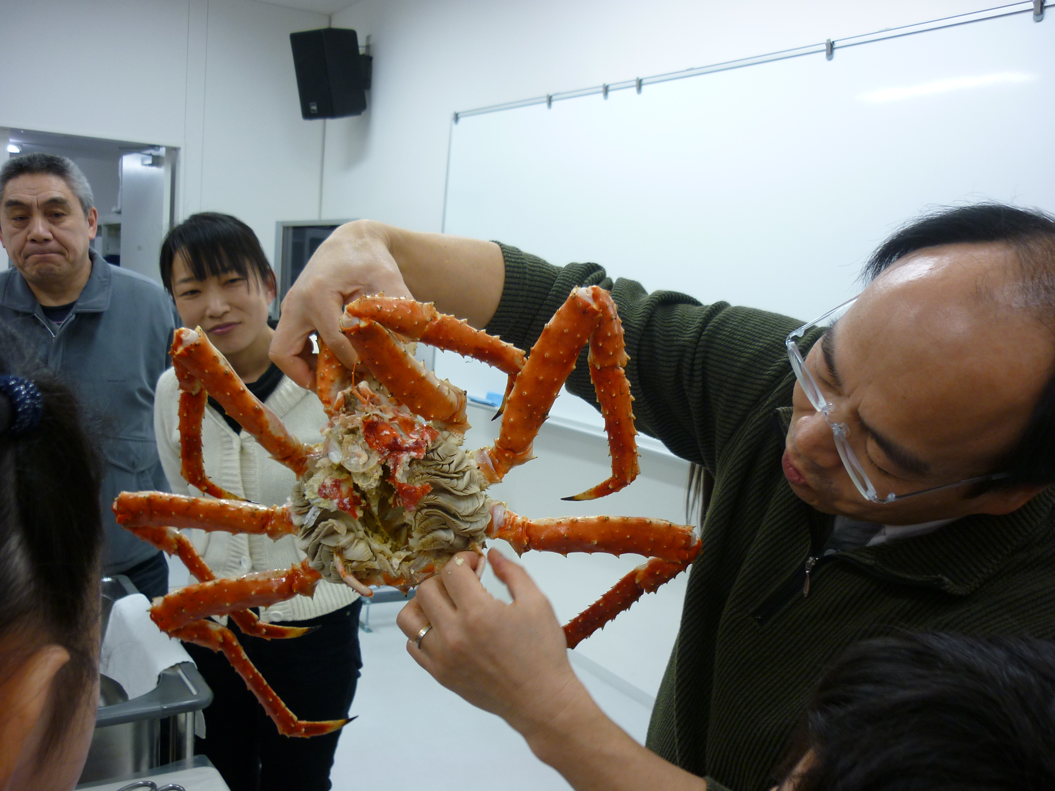 食べる生物学 あまとう日記 Com